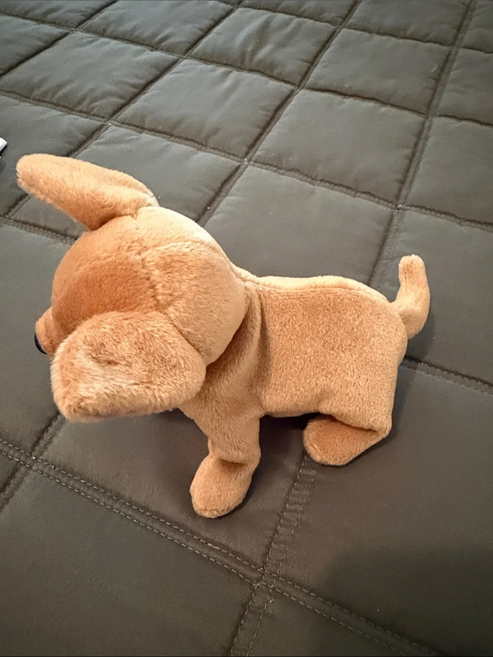 TY VINTAGE 1999 BEANIE BABY 